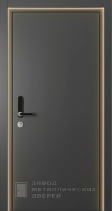 Фото «Дверь с подсветкой №42» в Озёрам